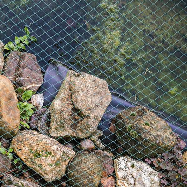 Teich- und Laubschutznetz