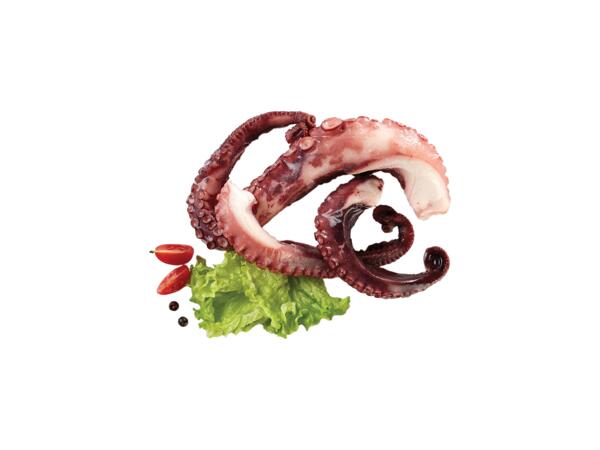 Octopus Tentacles