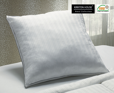DELUXE EUROPEAN PILLOW WITH A TOUCH OF SILK