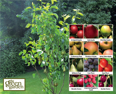 Fruit Trees