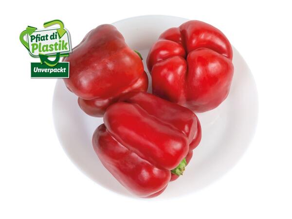 Paprika rot