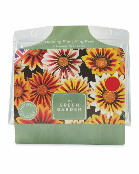 Bedding Plant Plug Tray Packs