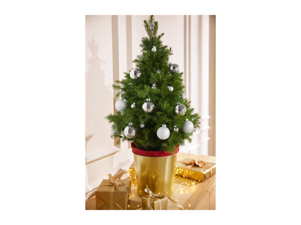 Livarno Home Premium Glass Baubles