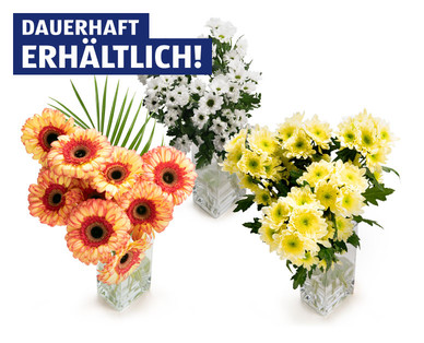 Schnittblumen