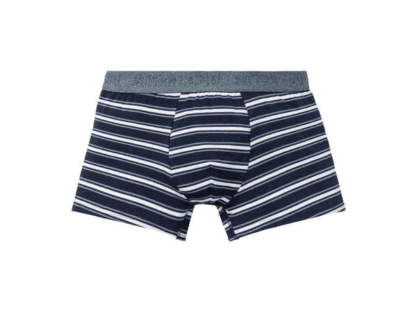 BOXERKY