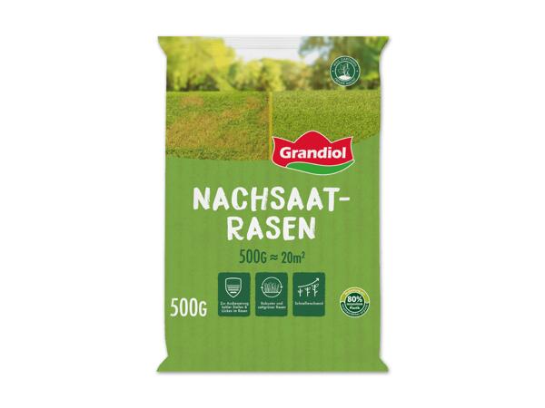Nachsaatrasen