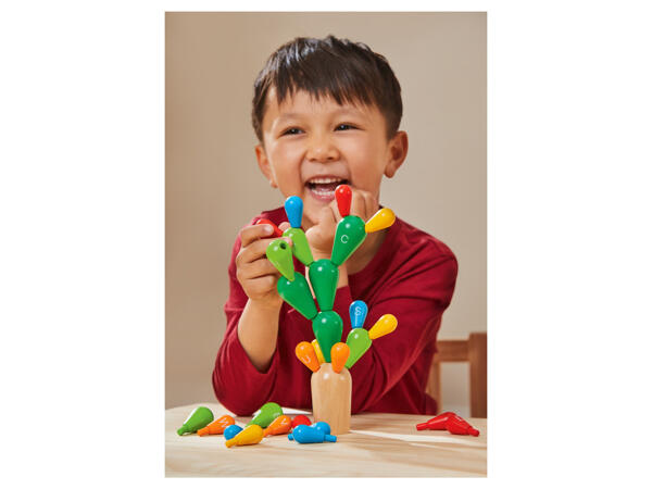 Wooden Shape Toys