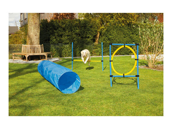 Zoofari Dog Agility Set