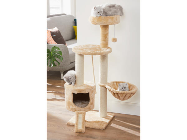 Arbre à chat