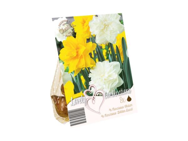 Blomsterløg
