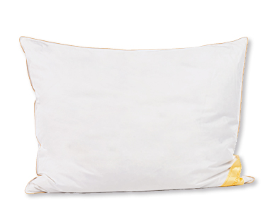 Coussin Greenfirst MY LIVING STYLE