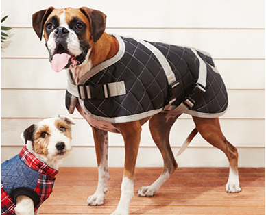 Dog Jacket – Medium or Large