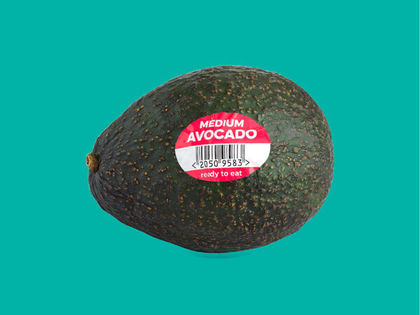 Medium Avocado