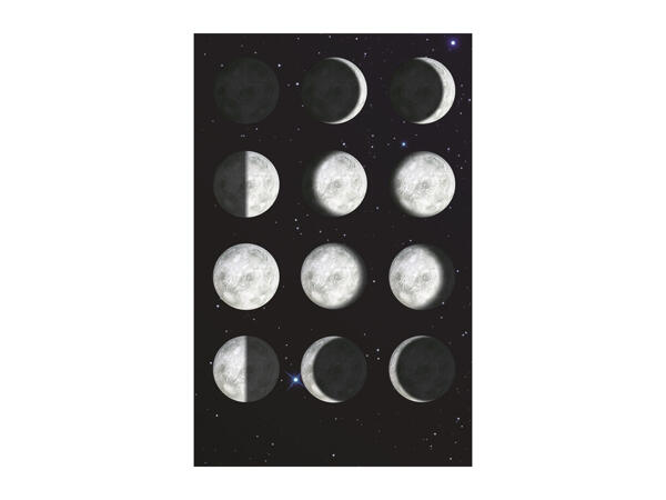 Brainstorm Toys My Very Own Solar System / Moon /T Rex