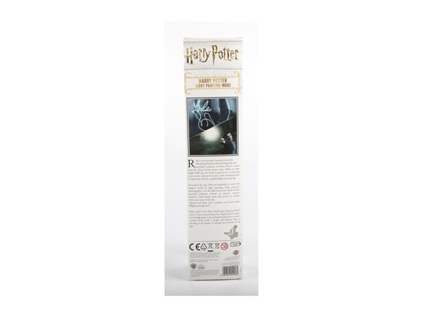 Harry Potter or Hermione Light Painting Wand