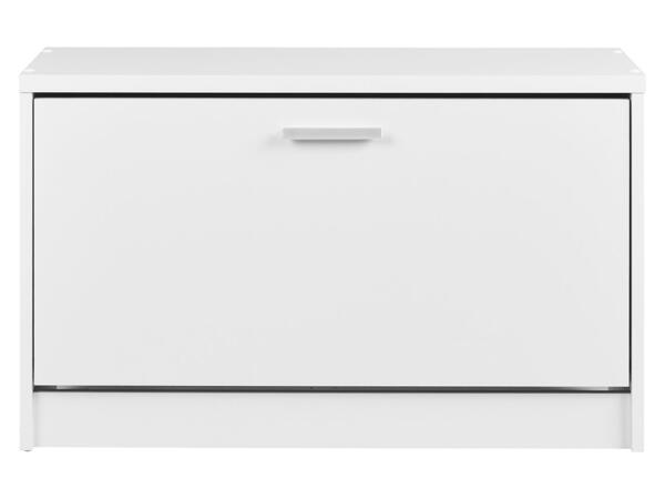Shoe storage cabinet
