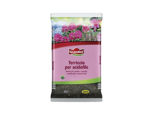 Acidophiles soil