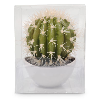 Decoratiecactus