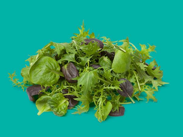 Oaklands Baby Leaf & Herb Salad