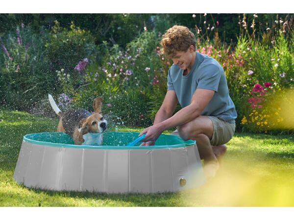 Dog Pool