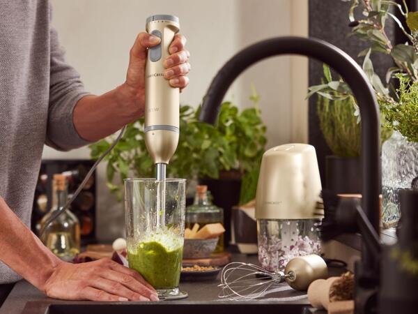 Stabmixer-Set