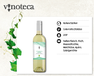 Catarratto Zibibbo Terre Siciliane IGT