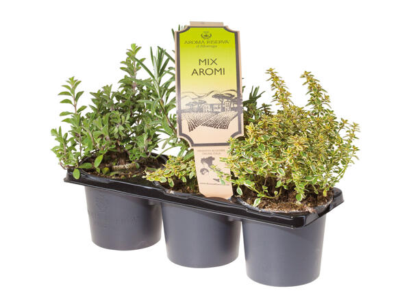 Herb Mix