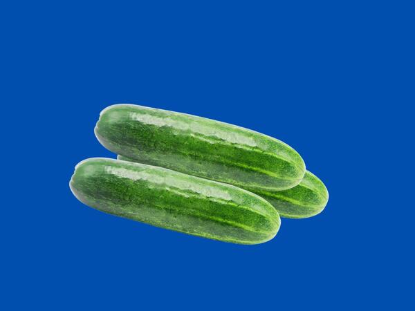 Funsize Cucumbears