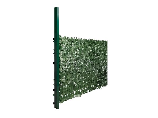 Garden Screening