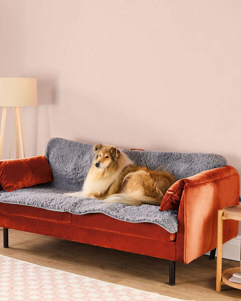 Comfy Sofa Pet Rug