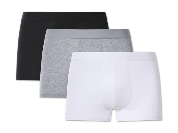 Herren Boxer, 3 Stück