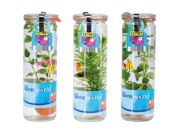 Akvariumplante i glas