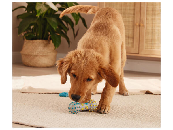 Dog Toy