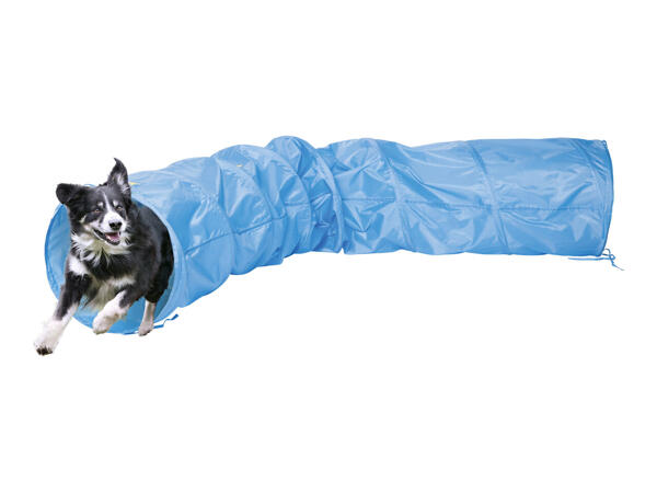 Zoofari Dog Agility Set