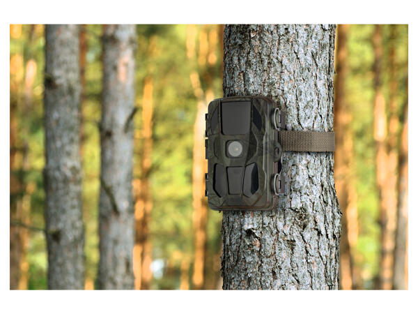 Wildlife Surveillance Camera