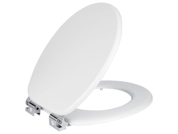 Toilet Seat