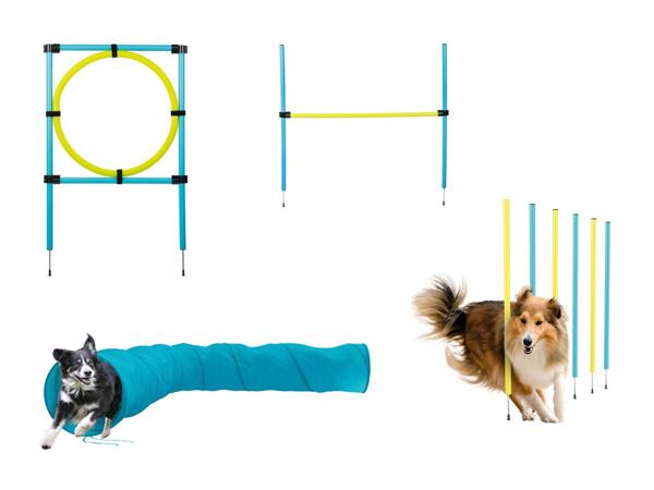 Assortiment d'agility pour chiens