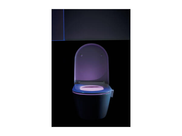 Toilet Night Light