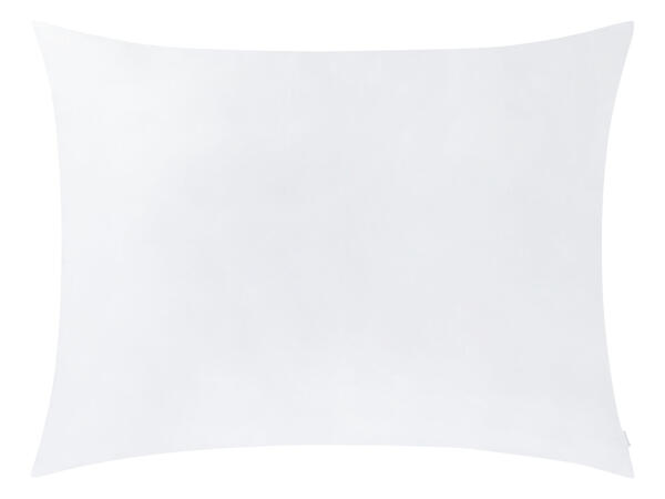 Dust Mite Proof Pillow