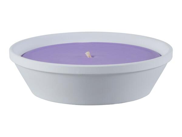 Livarno Home Citronella Candle - Purple