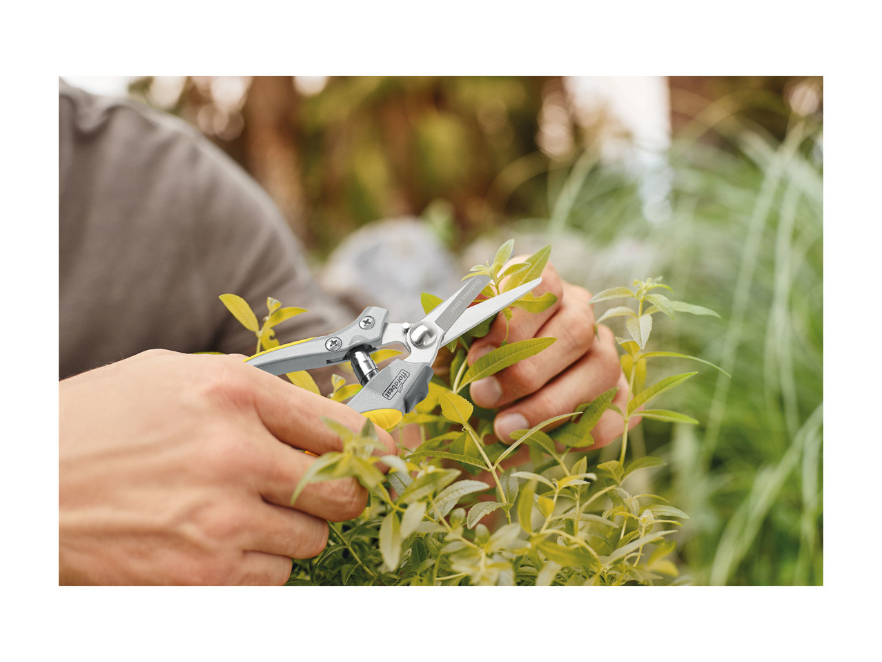 Florabest Precision Secateurs1