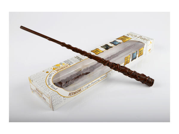 Harry Potter or Hermione Light Painting Wand