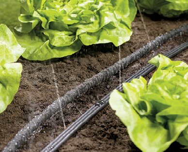GARDENLINE(R) Perl-/Sprühschlauch