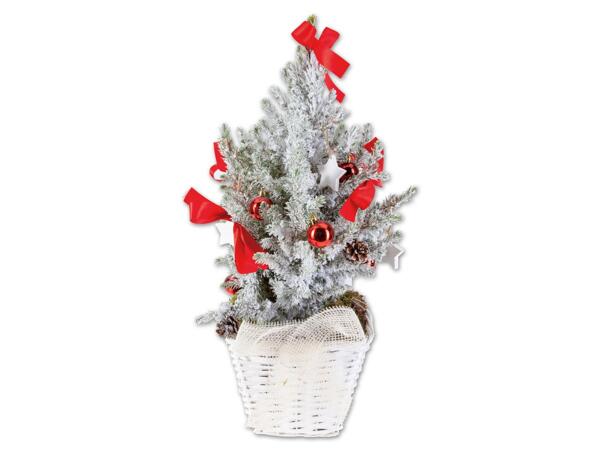 Weihnachtlich dekorierte Zuckerhutfichte