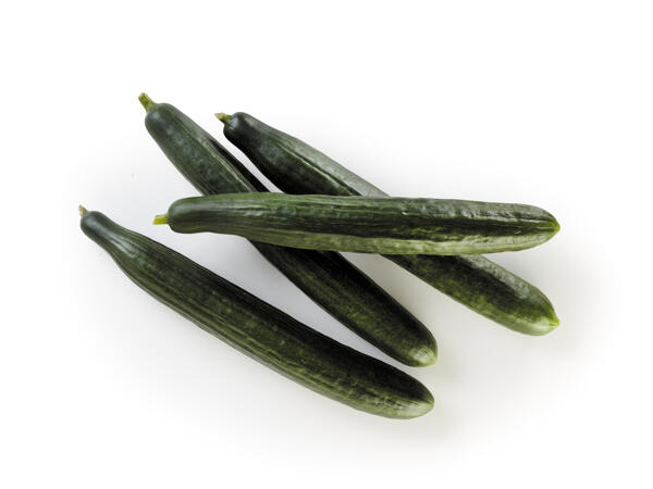 Dutch Cucumber
