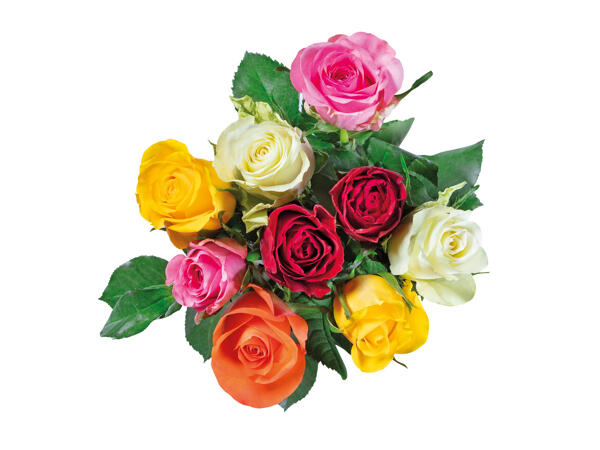 Fairtrade Rosen