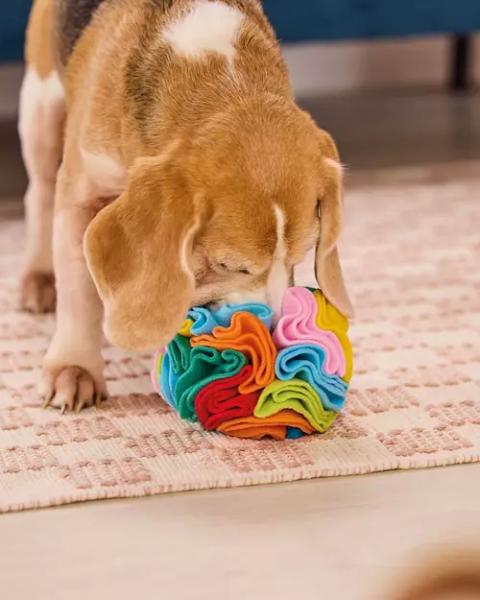 Snuffle Toy