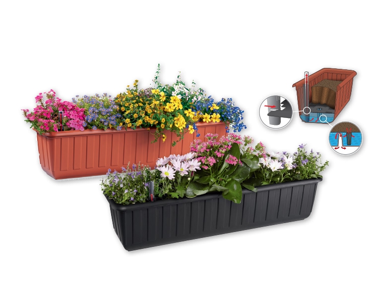 FLORABEST Flower Box