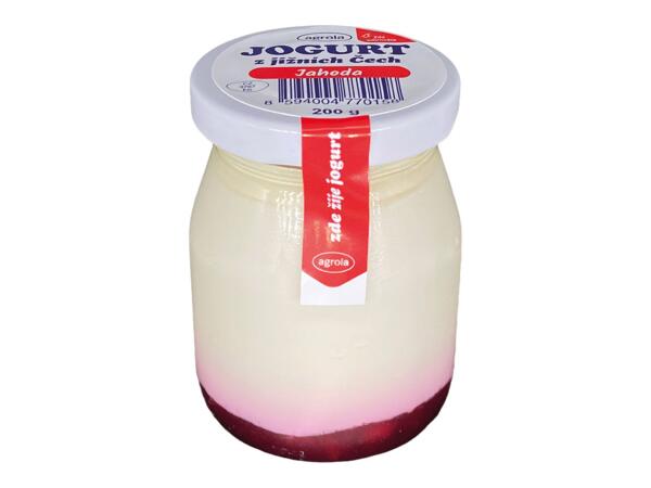 JIHOČESKÝ JOGURT JAHODOVÝ