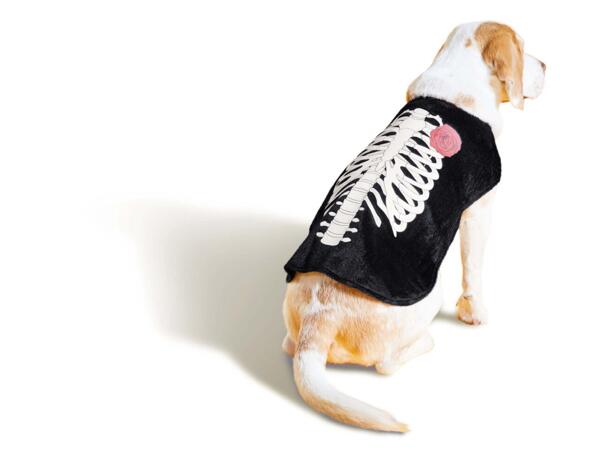Halloween Dog Costume